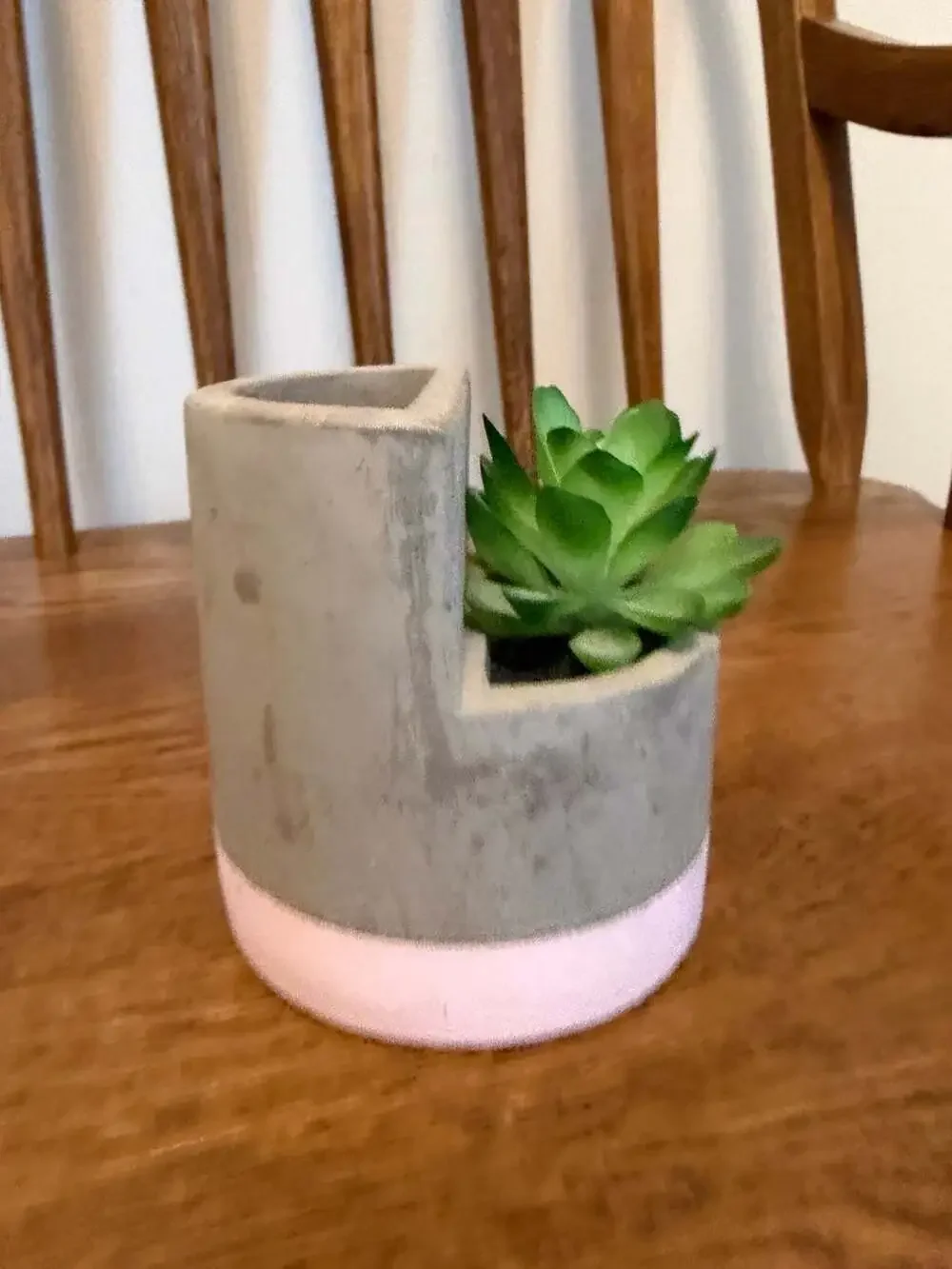 Artificial Succulent in Gray and Pink Two-Tone Cement Planter Pot